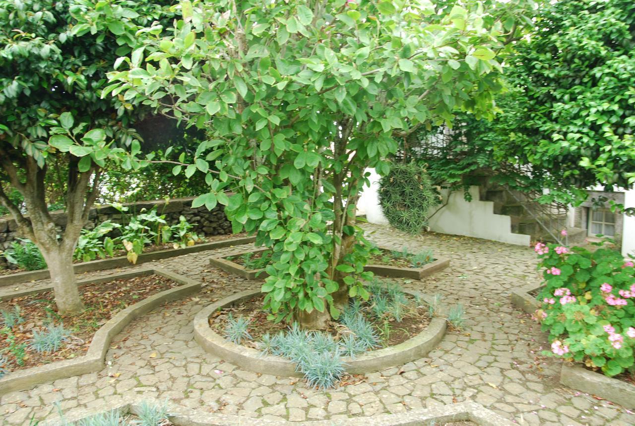 Quinta Dos Figos "5 Trevos Gold" Villa Praia da Vitoria Bagian luar foto